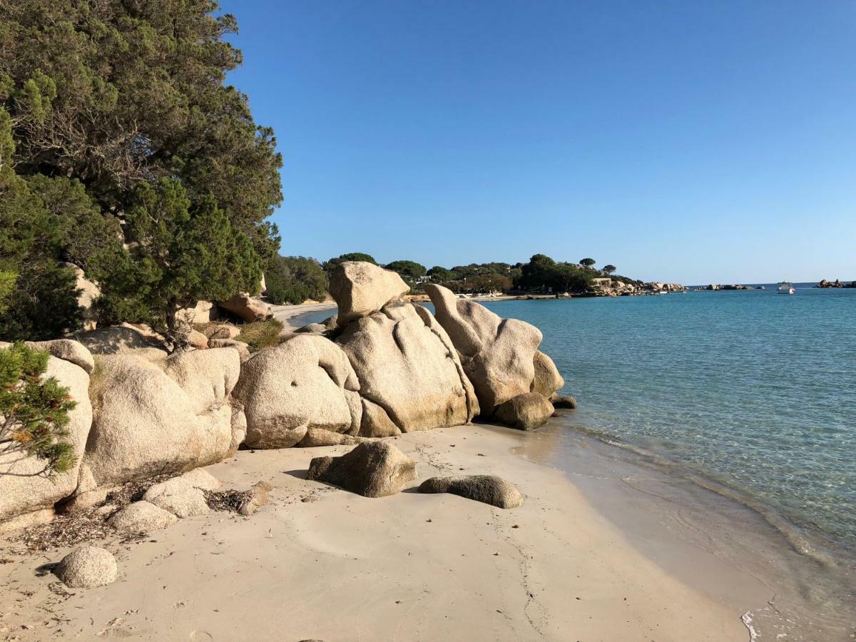 Villa Orethaga Piscine 10 Pers Porto Vecchio Eksteriør bilde
