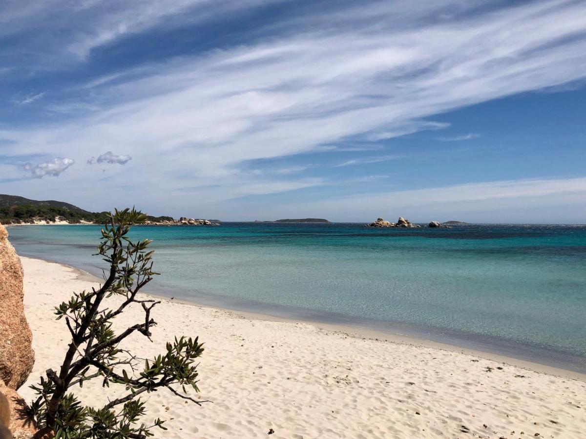 Villa Orethaga Piscine 10 Pers Porto Vecchio Eksteriør bilde